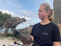IMG 4169